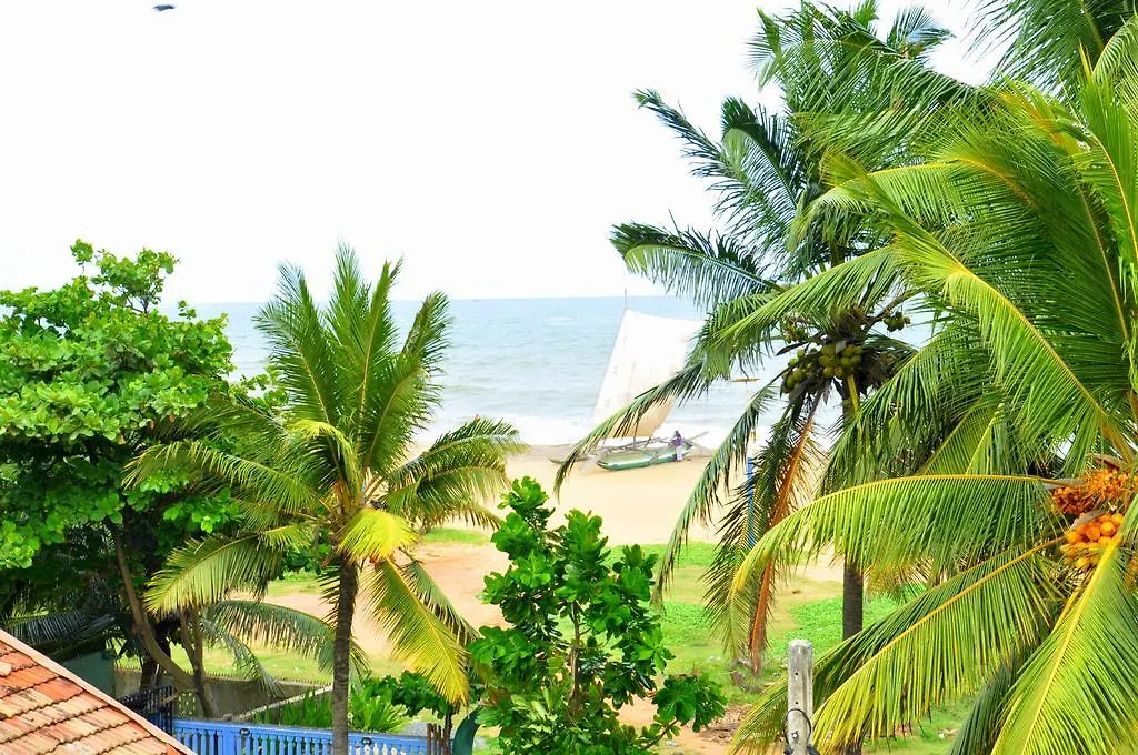 Blumarine Guest House Negombo