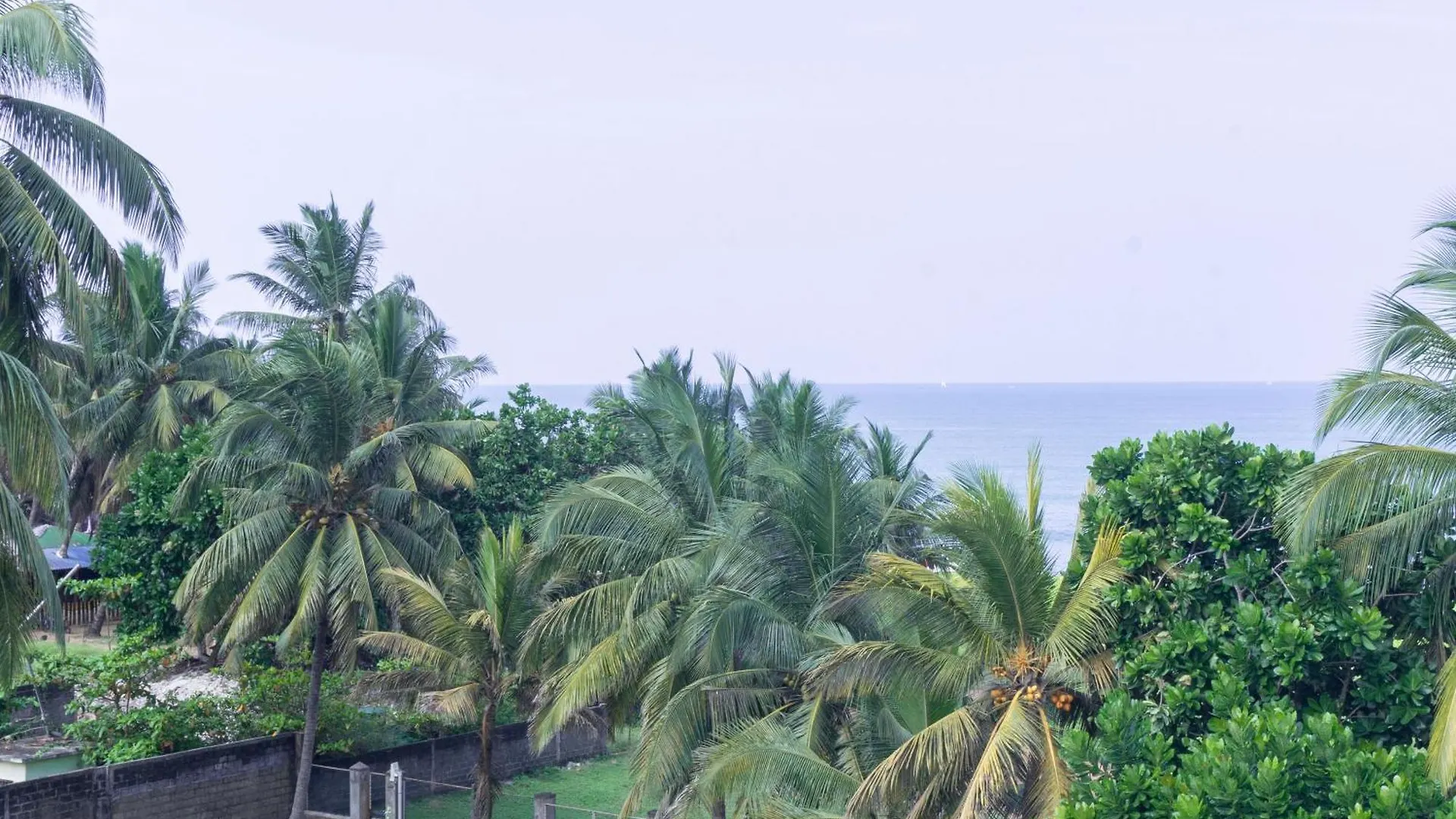 Blumarine Guest House Negombo